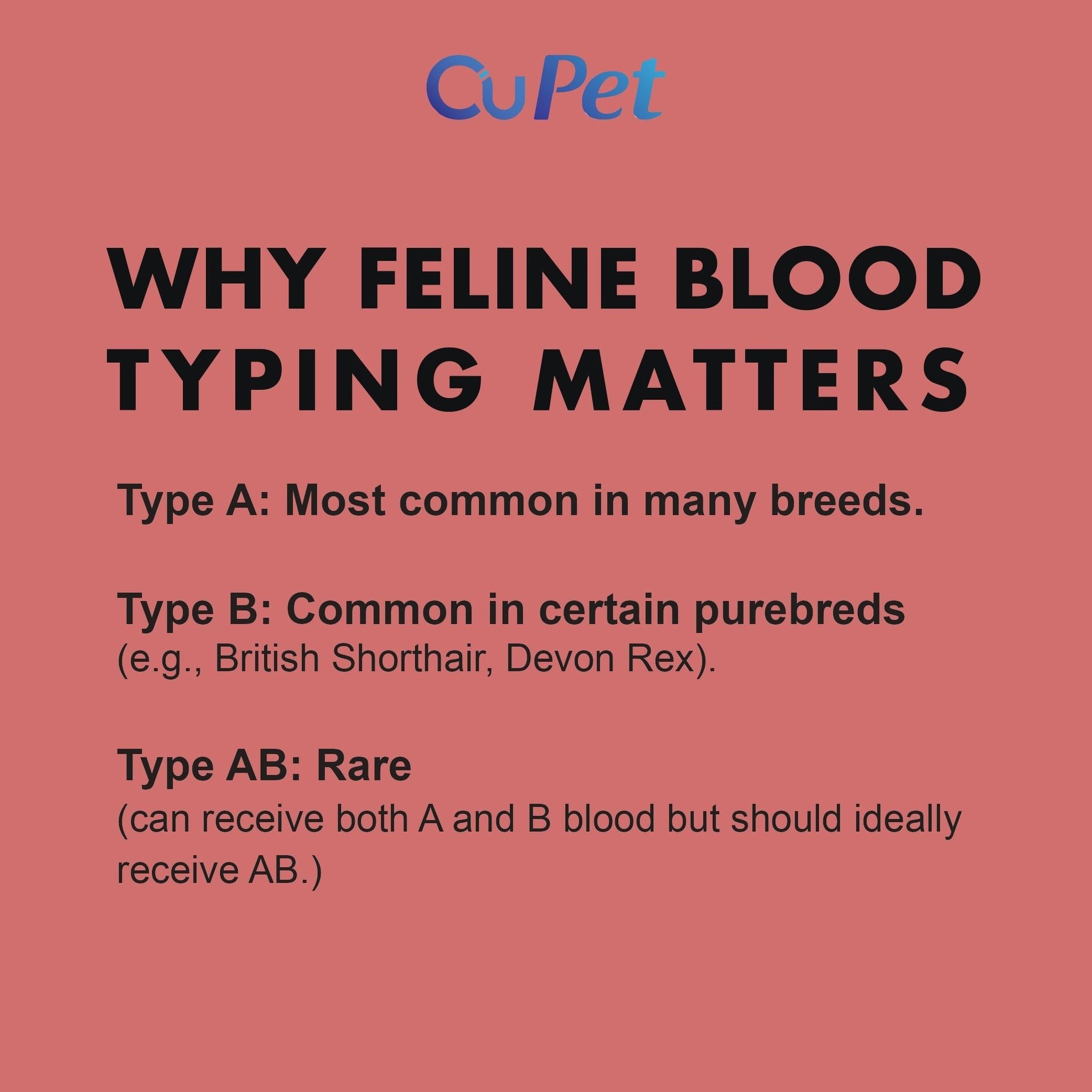 Feline Blood Typing (FBT) Test 1s