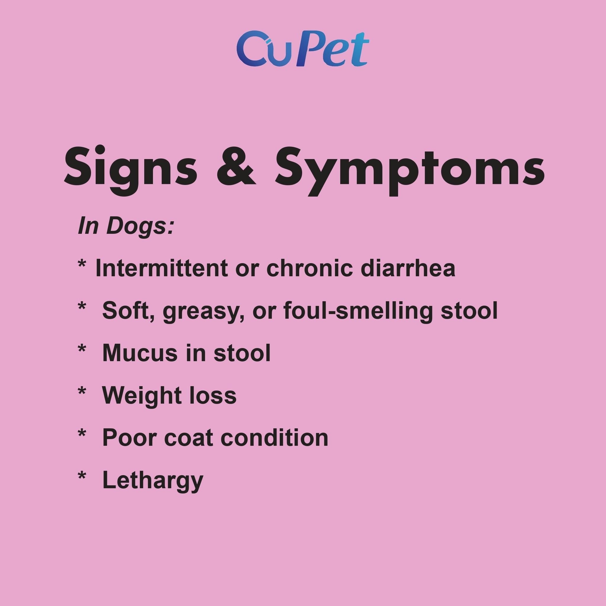 Canine/Feline Giardia (GIA) Ag Test 1s