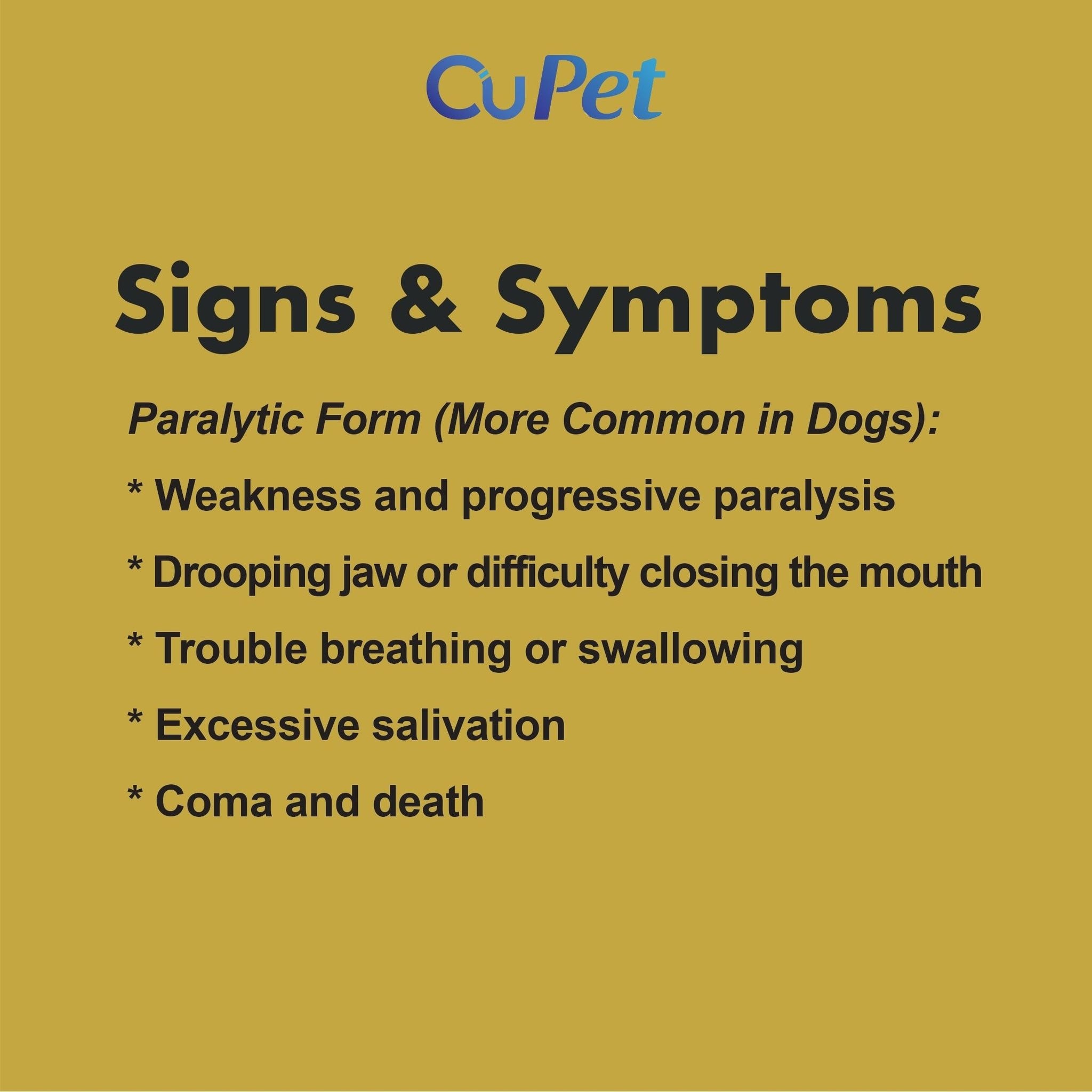 Canine/Feline Rabies Virus (RBV) Ag Test 1s