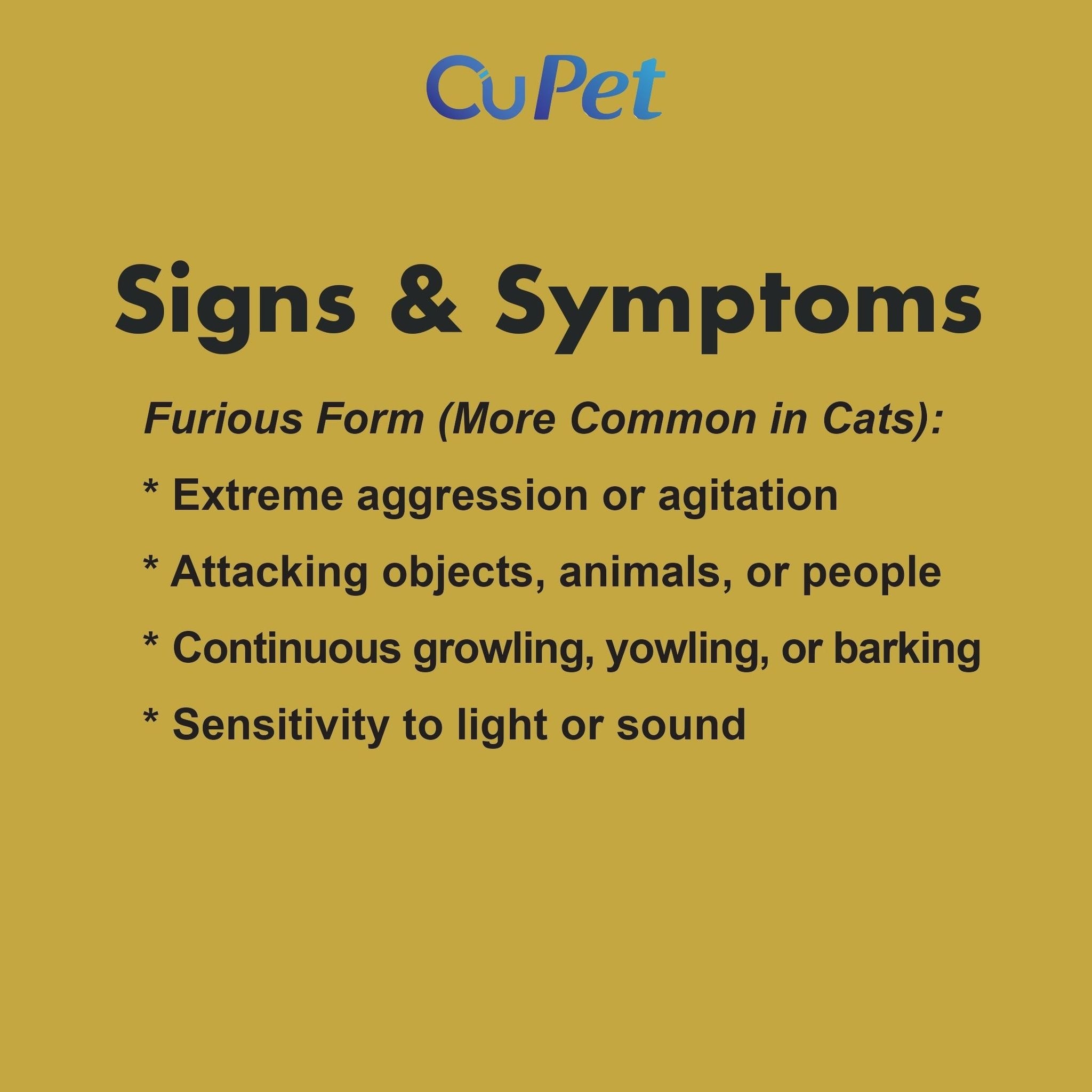 Canine/Feline Rabies Virus (RBV) Ag Test 1s