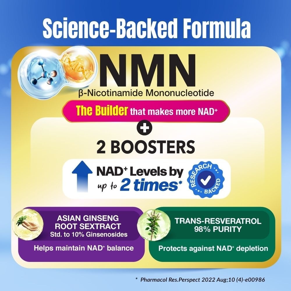 Le Ageless NMN+ NAD+ Support with Resveratrol Ginseng Supplement Capsule (Healthy Aging, Energy, Vitality, Metabolism, Antioxidant Support) 60s