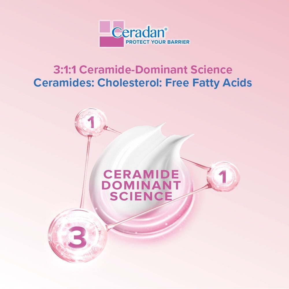 Ceramide Daily Moisturising Cream 500g