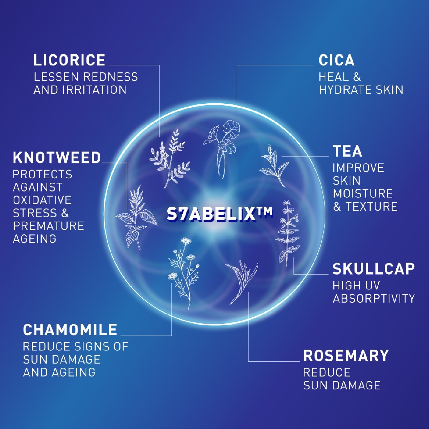 Moisturising Cream for Face & Body 300g