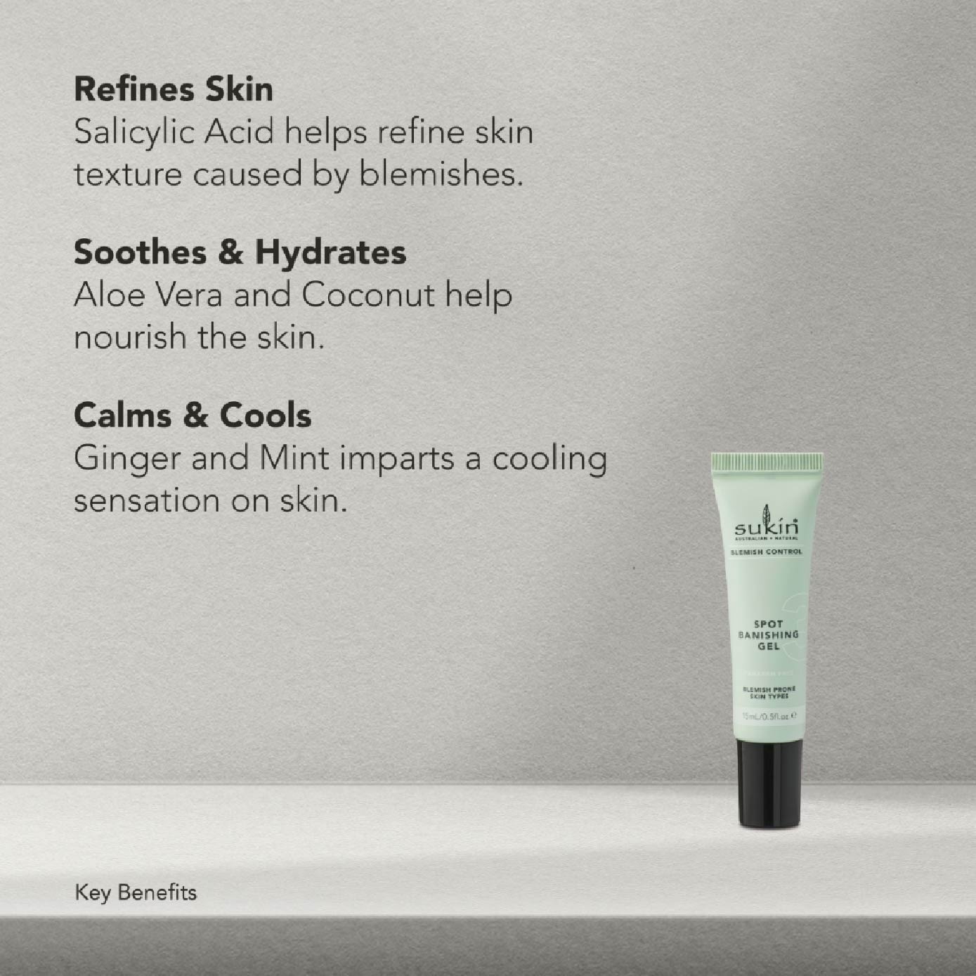 Spot Banishing Gel Blemish Control (15ml)
