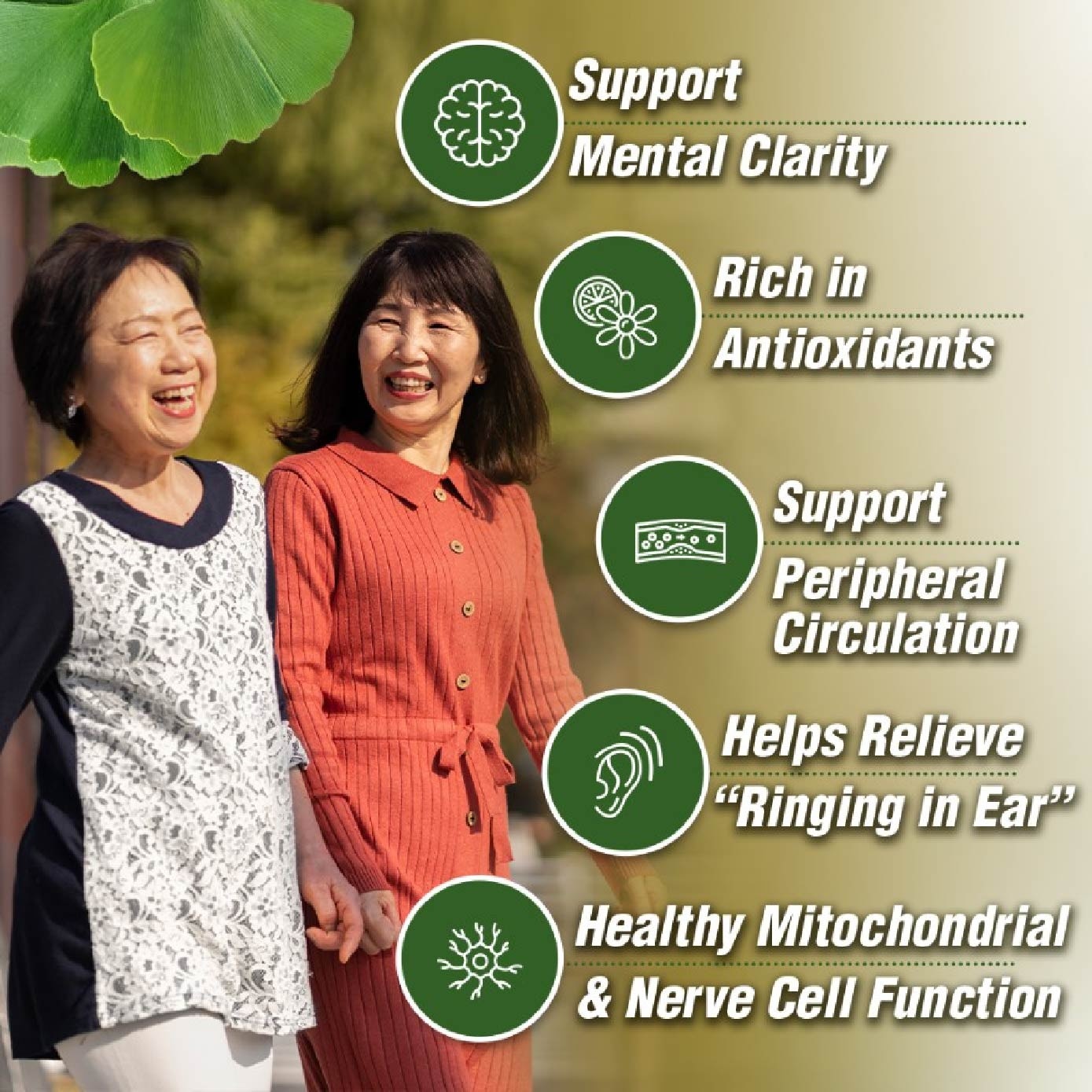 Ginkgo Sensei Supreme Ginkgo Biloba caplets (Brain, Focus, Memory, Blood Circulation Support) 60s