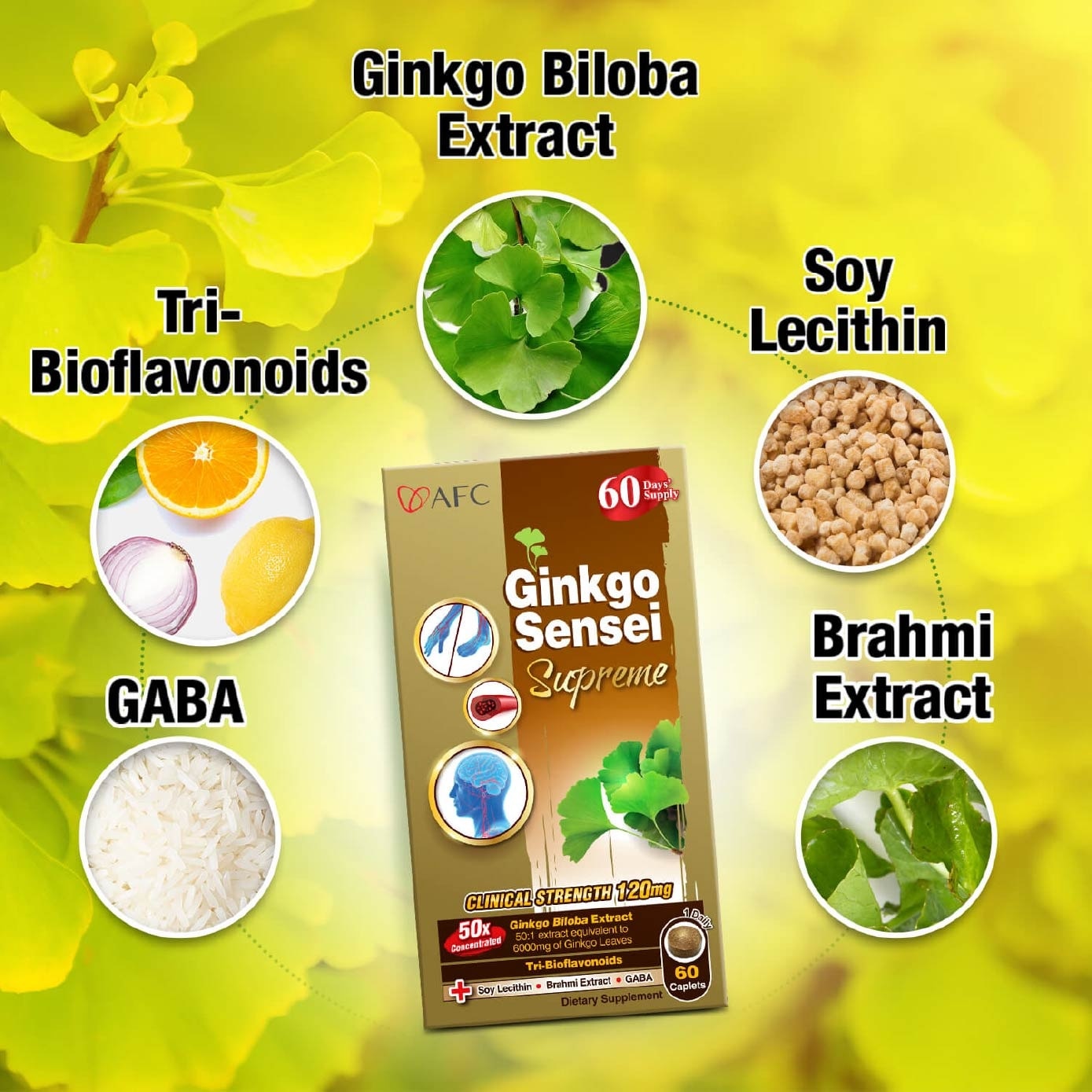 Ginkgo Sensei Supreme Ginkgo Biloba caplets (Brain, Focus, Memory, Blood Circulation Support) 60s