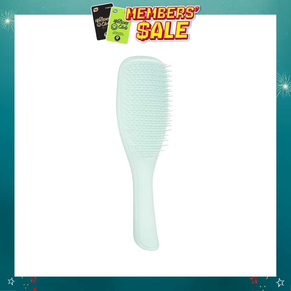 Ultimate Detangler Fine & Fragile Ice Blue 1s