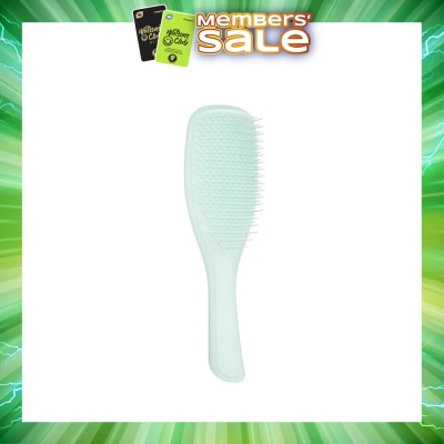 TANGLE TEEZER - Ultimate Detangler Fine & Fragile Ice Blue 1s