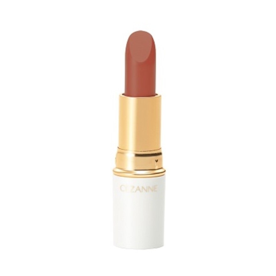 Lasting Lip Color N 102 Brown 1s