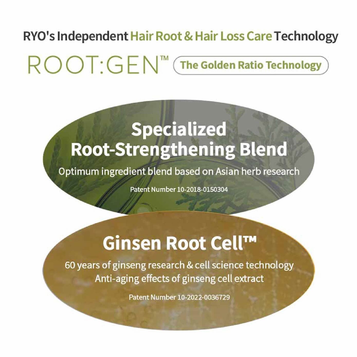 RootGen Hair Loss Care Scalp Essence 80ml