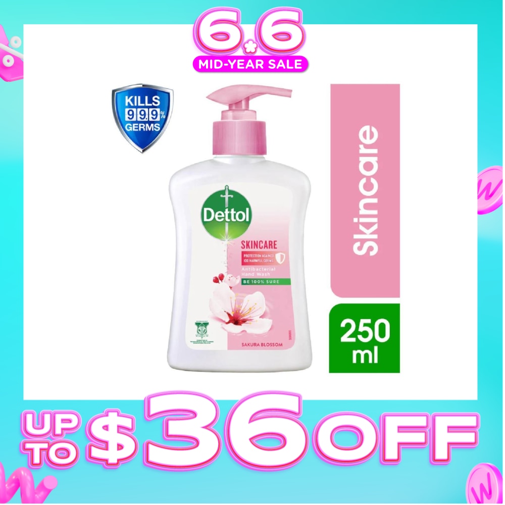 Anti-Bacterial Liquid Hand Wash Skincare (Kills 99.9% Germs) 250ml
