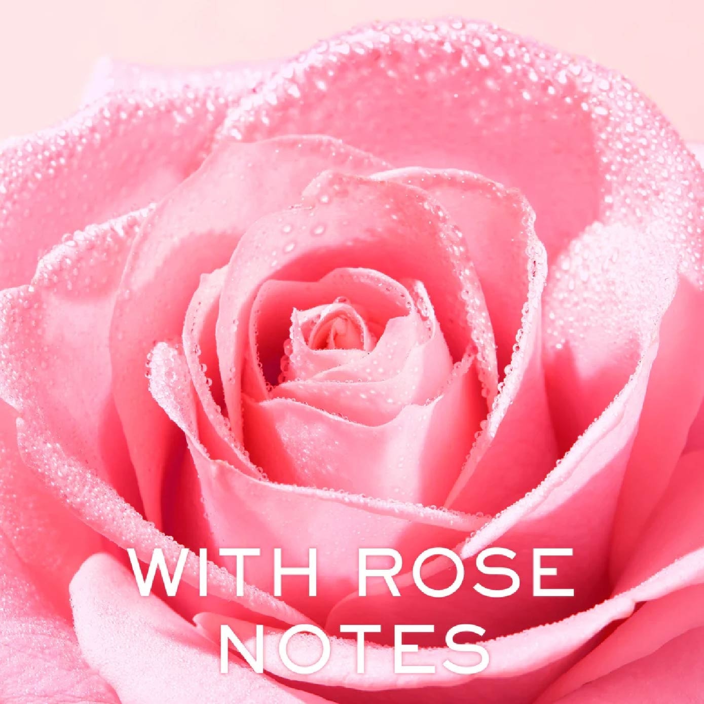 Very Rose Creamy Cleansing Milk (Milk-in-Oil Cleanser with Rose Water to Strengthen Skin Barrier) 200ml