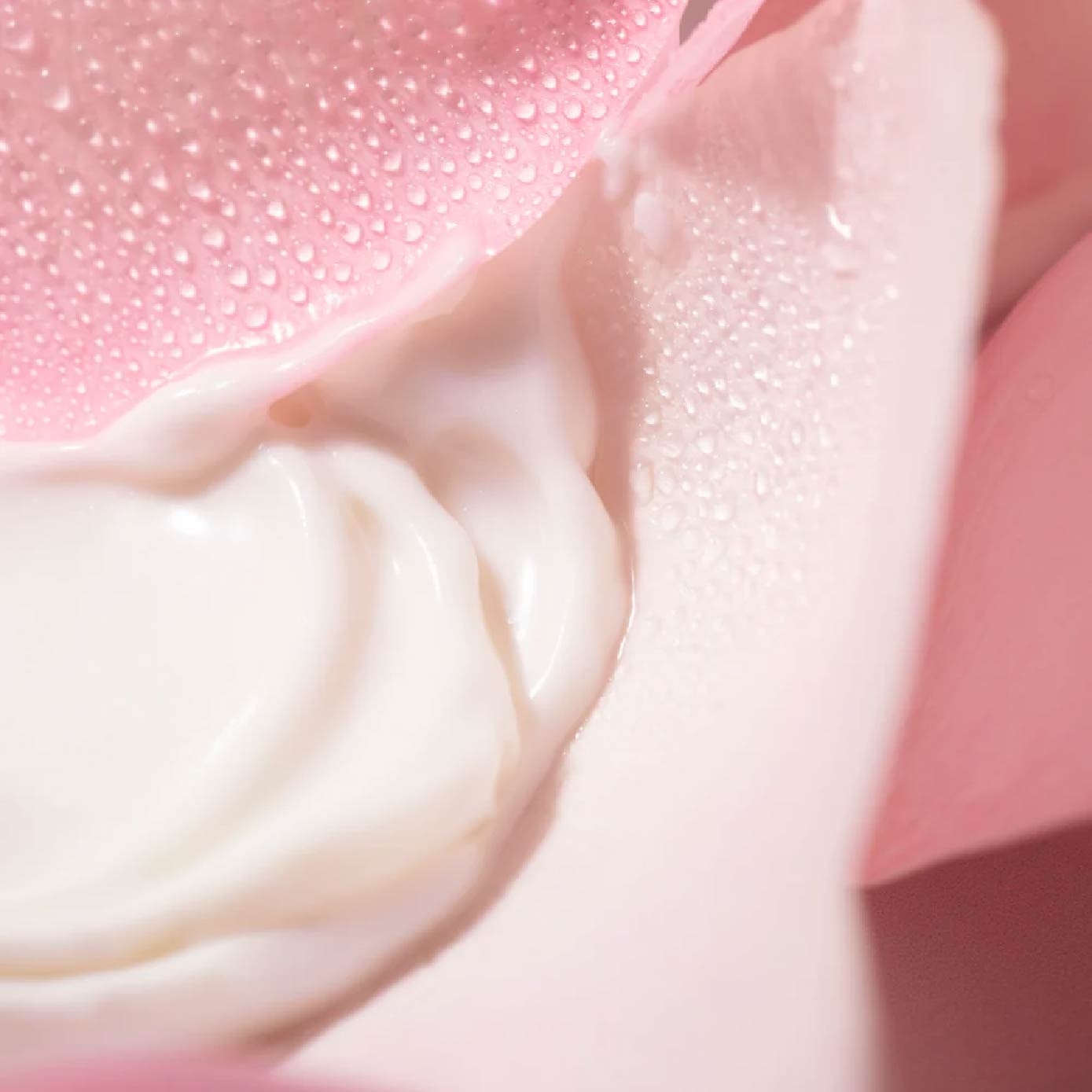 Very Rose Creamy Cleansing Milk (Milk-in-Oil Cleanser with Rose Water to Strengthen Skin Barrier) 200ml