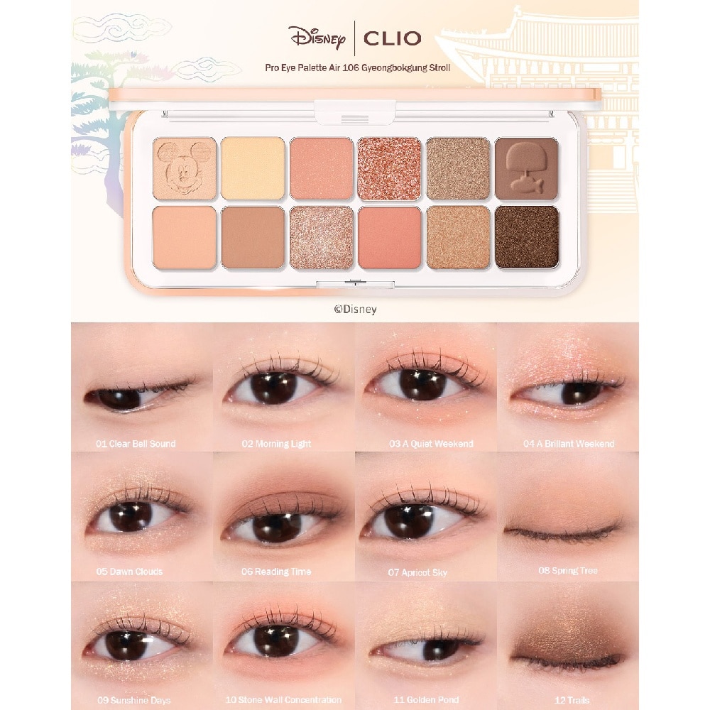 Pro Eye Palette Air 106 Coral Flower Shoes 7.2g