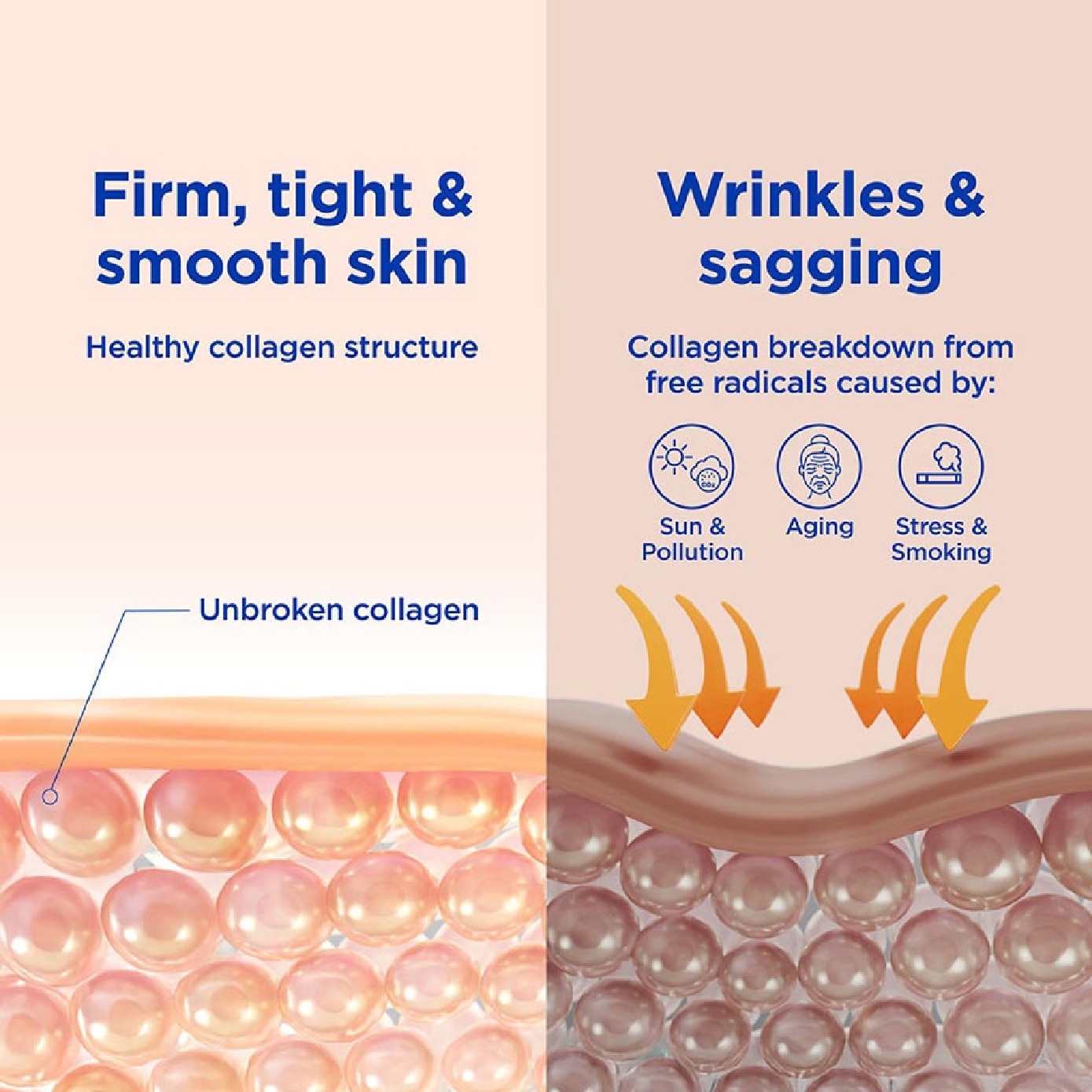 Collagen 10,000mg 60ml x 10s (Expiry: Mar`2027)