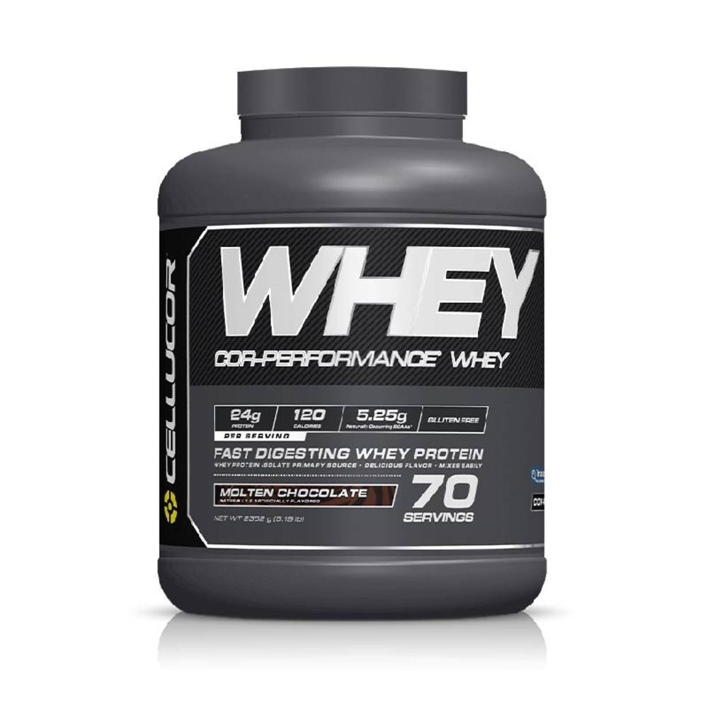 Whey Protein Powder 5LBS (Molten Chocolate)