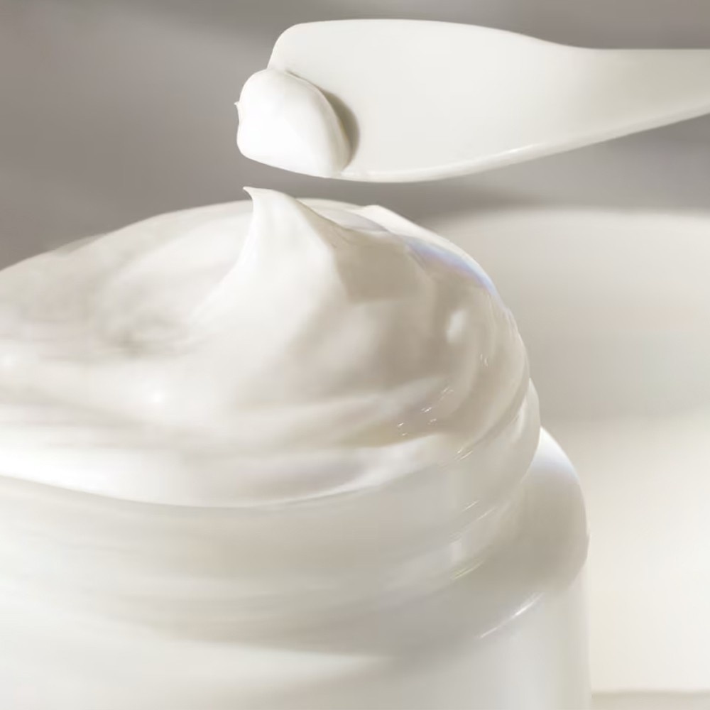 The Moisturizing Fresh Cream 7ml