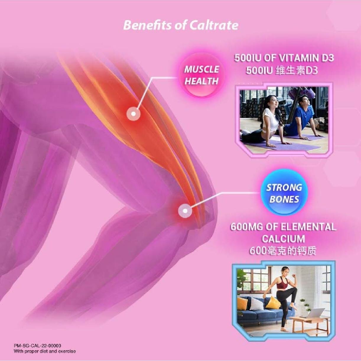 Caltrate Bone & Muscle Health (600+ D3 Calcium supplement with 500IU Vitamin D3) 100s<BR>