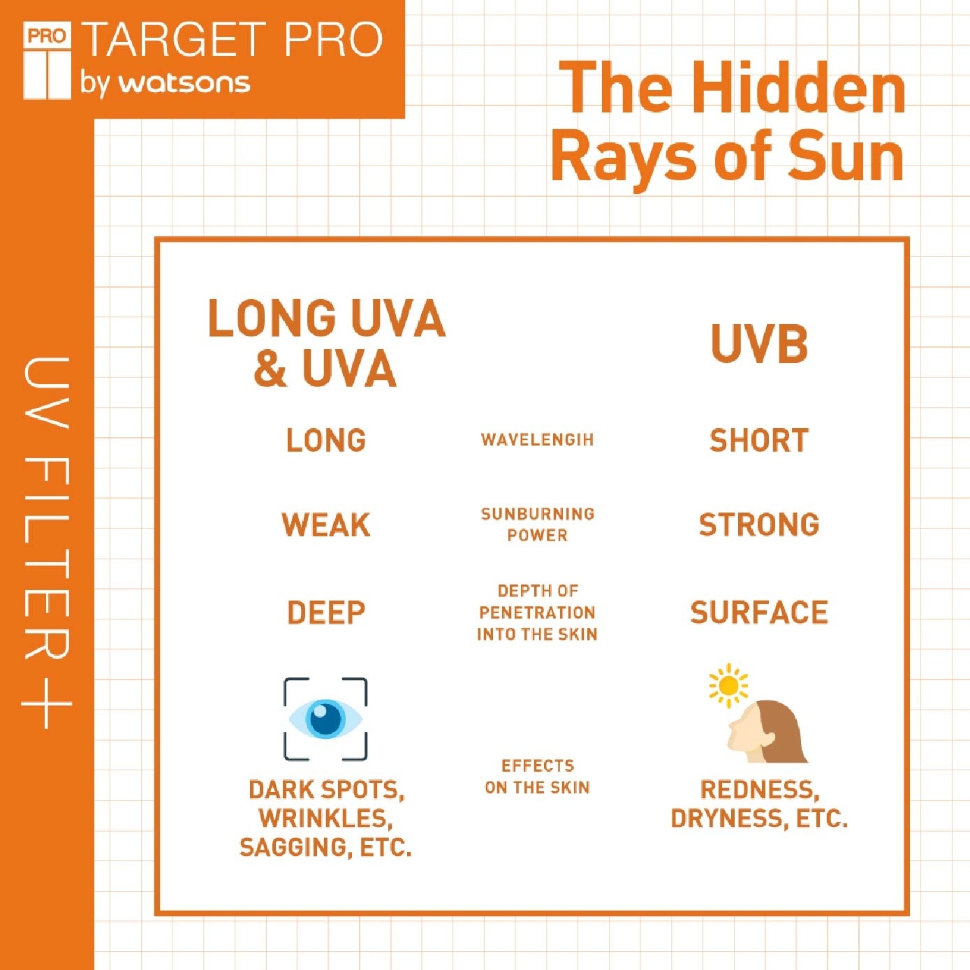 SPF50+ PA++++ Trans-shield Luminous Sun Milk UV Filter+ Sunscreen 60ml