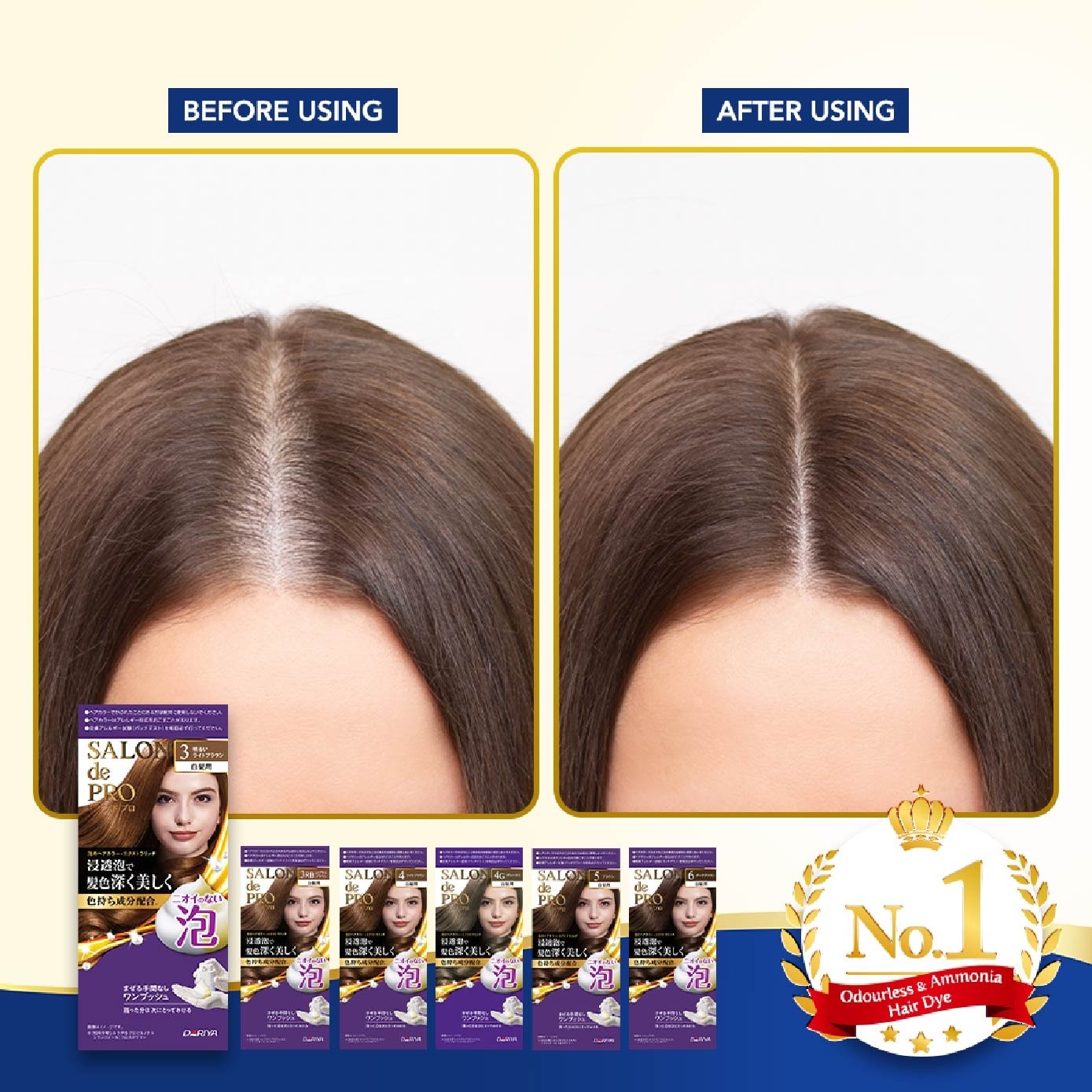 Grey hair coverage Hair Dye 'Mousse #3RB Royal Brown 100ml