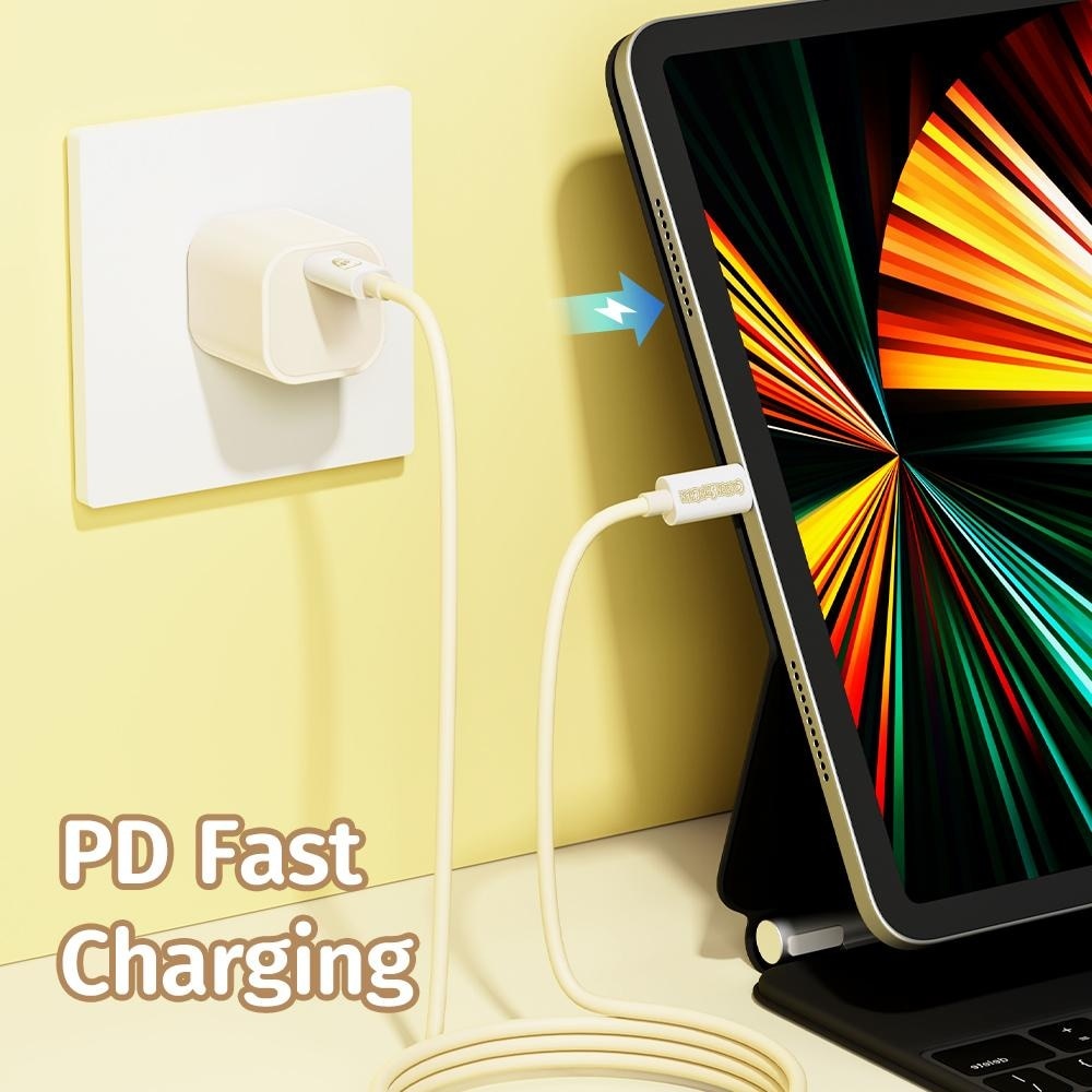 PD100W Fast Charging Cable 1s