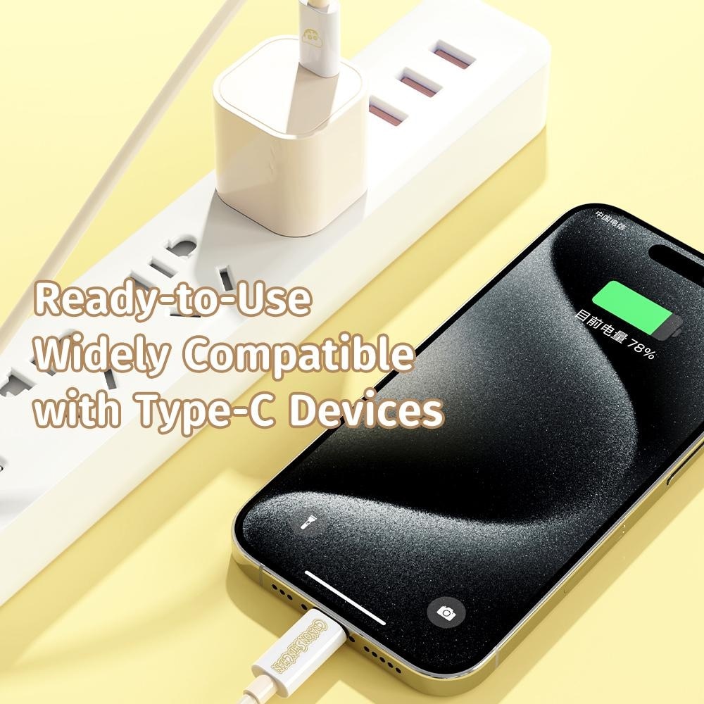 PD100W Fast Charging Cable 1s