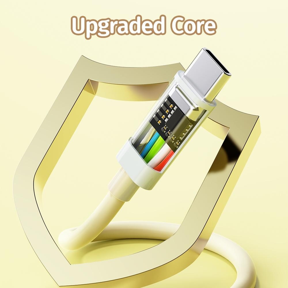 PD100W Fast Charging Cable 1s