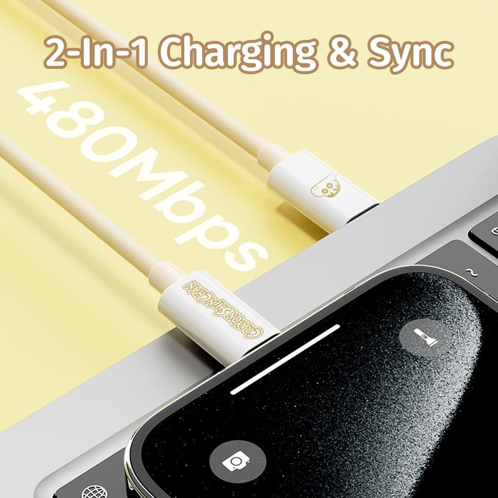 PD100W Fast Charging Cable 1s