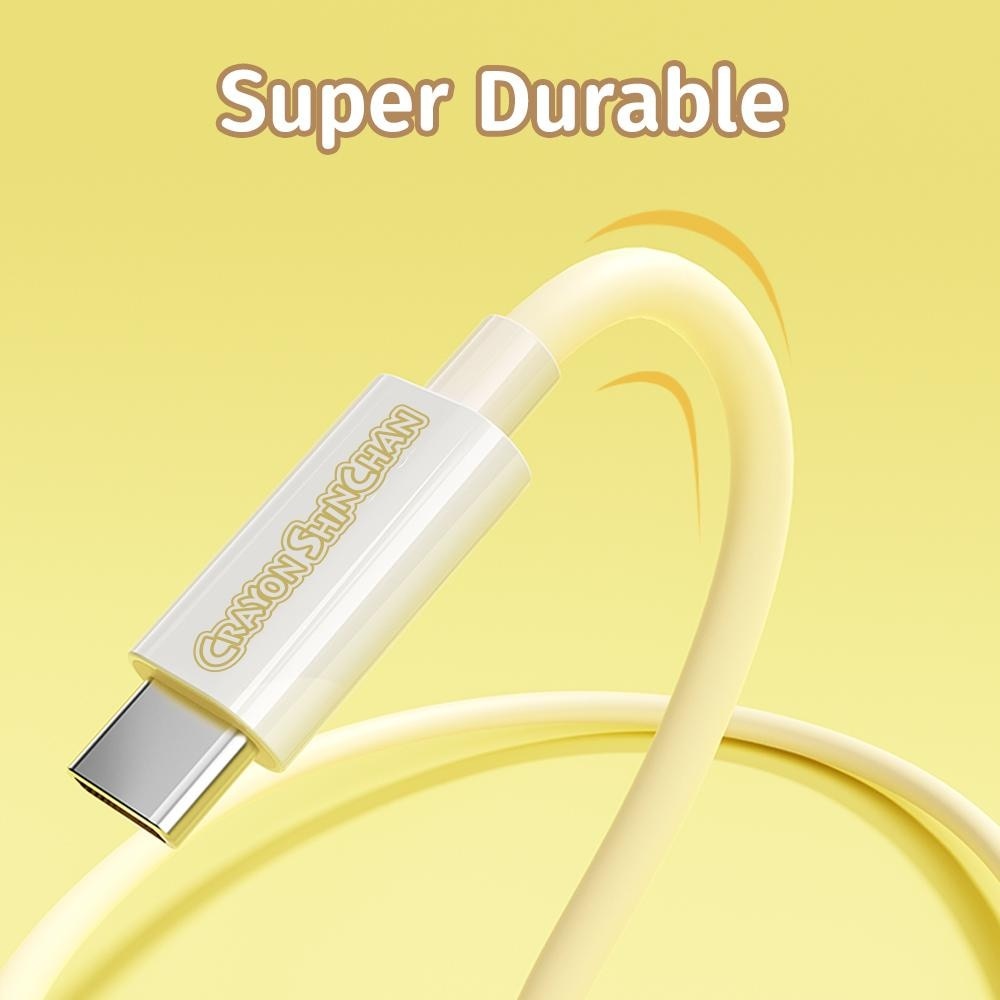 PD100W Fast Charging Cable 1s