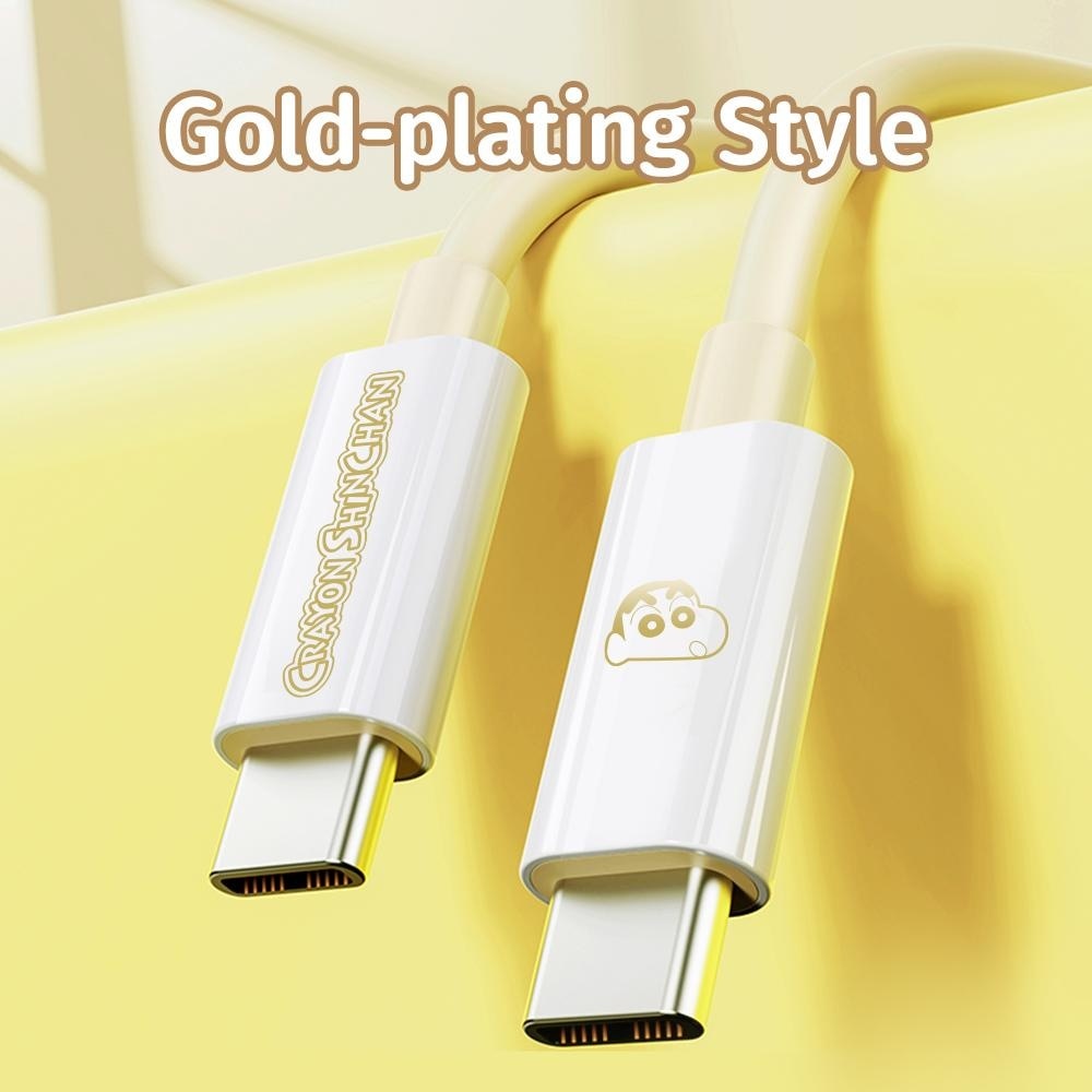 PD100W Fast Charging Cable 1s