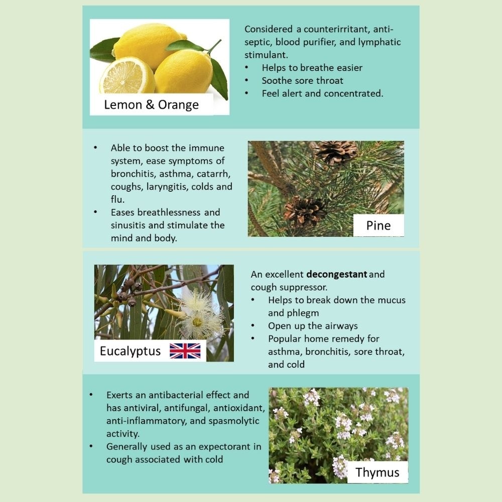 Flu Relief Medical Patch For Children 6s