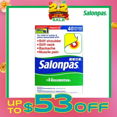 SALONPAS® Pain Relieving Patch 40s