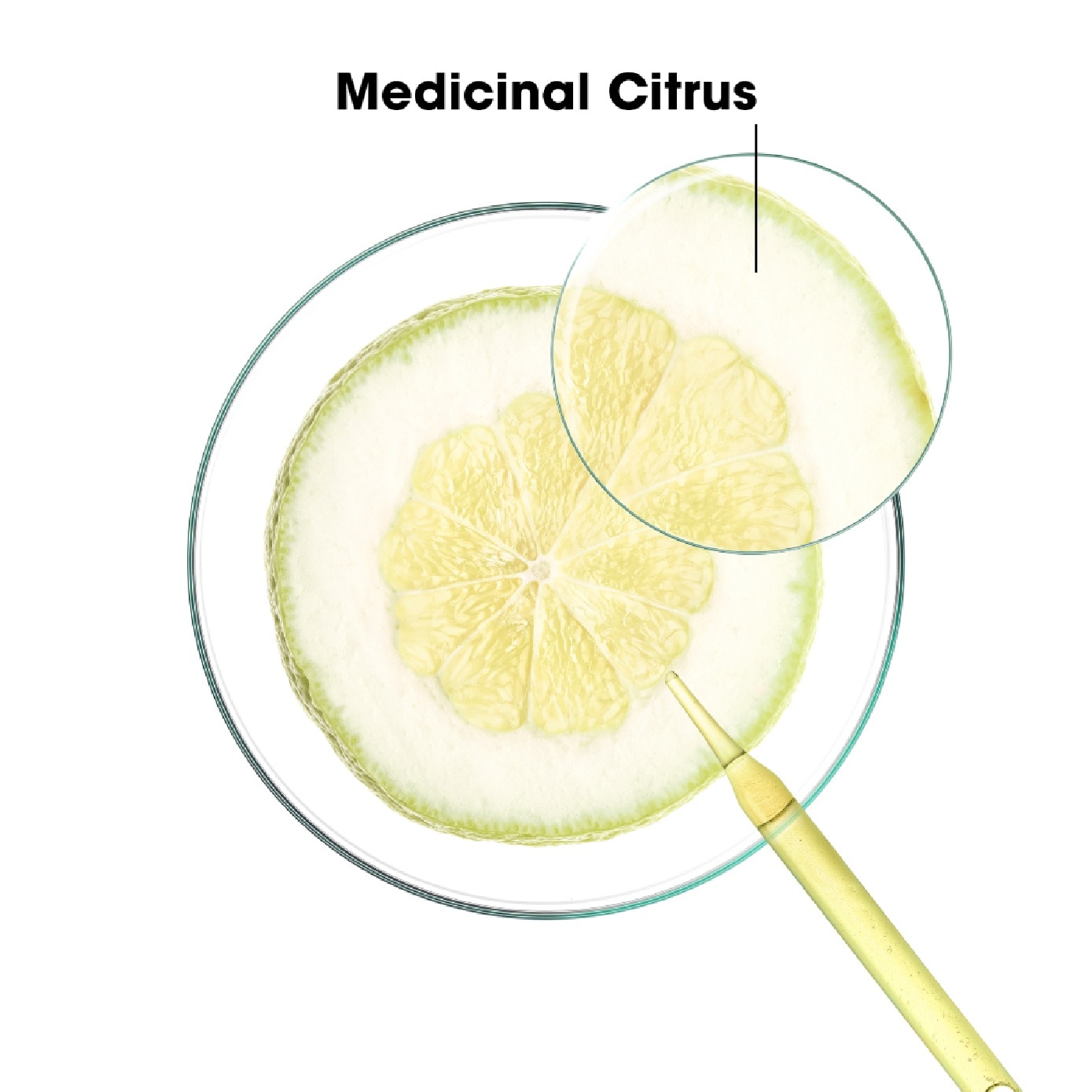 Purifying Citrus Shampoo (To Cleanses & Purifies Scalp, For Normal To Oily Hair) 400ml