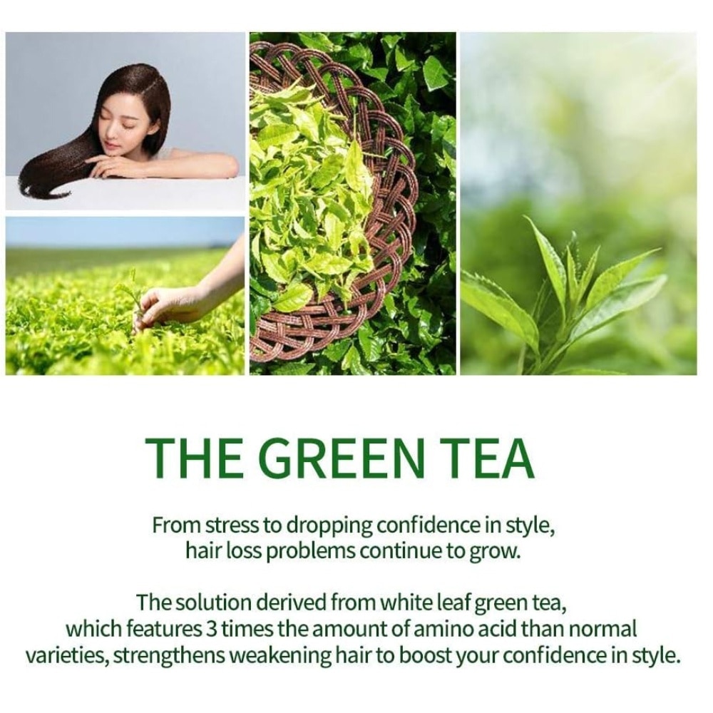 The Green Tea Shampoo Fresh - For Oily Scalp 500g