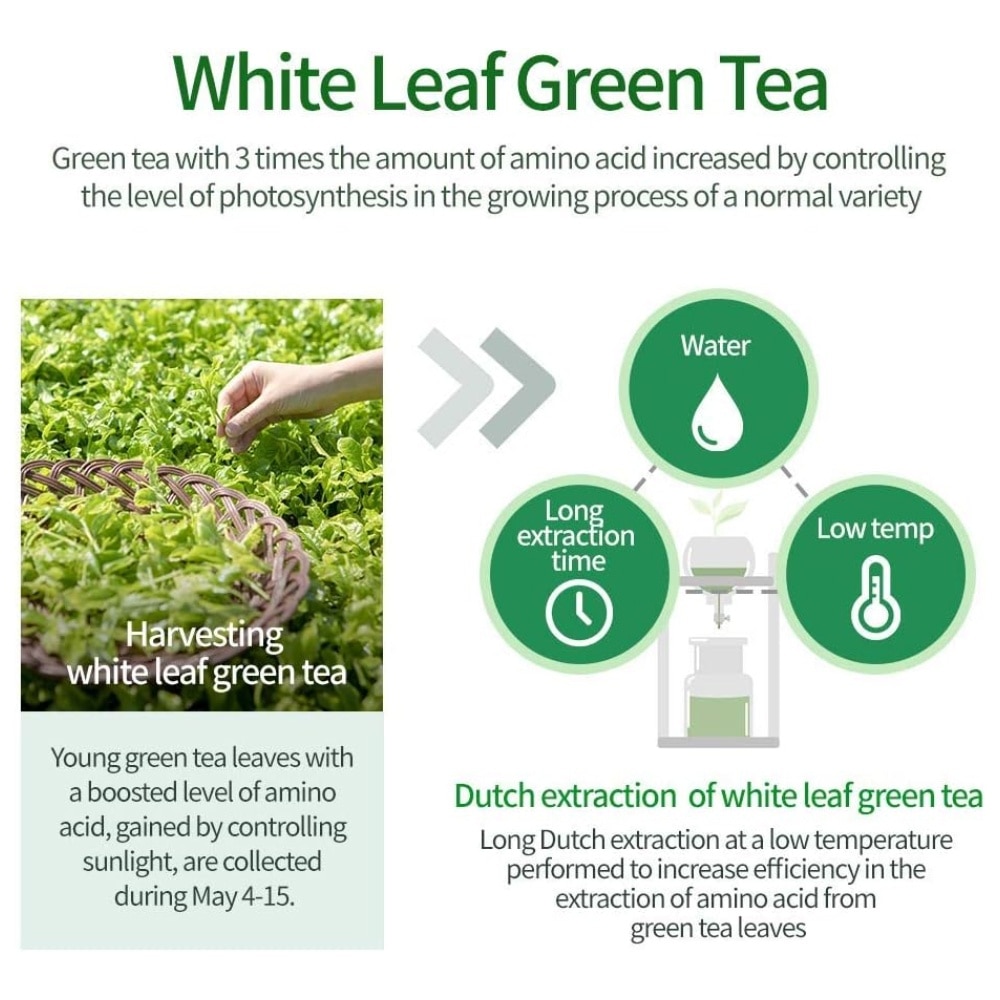 The Green Tea Shampoo Fresh - For Oily Scalp 500g