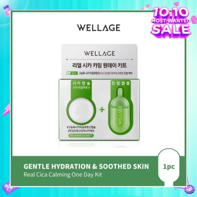 WELLAGE Real Cica Calming One Day Kit 1s