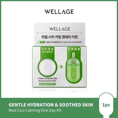 WELLAGE Real Cica Calming One Day Kit 1s