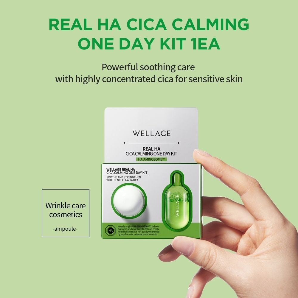 Real Cica Calming One Day Kit 1s