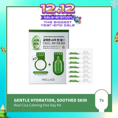 WELLAGE Real Cica Calming One Day Kit 7s