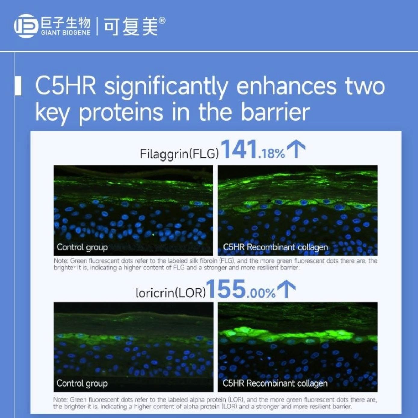 Recombinant Collagen Restoration Single Use Essence 1.5ml x 5s image