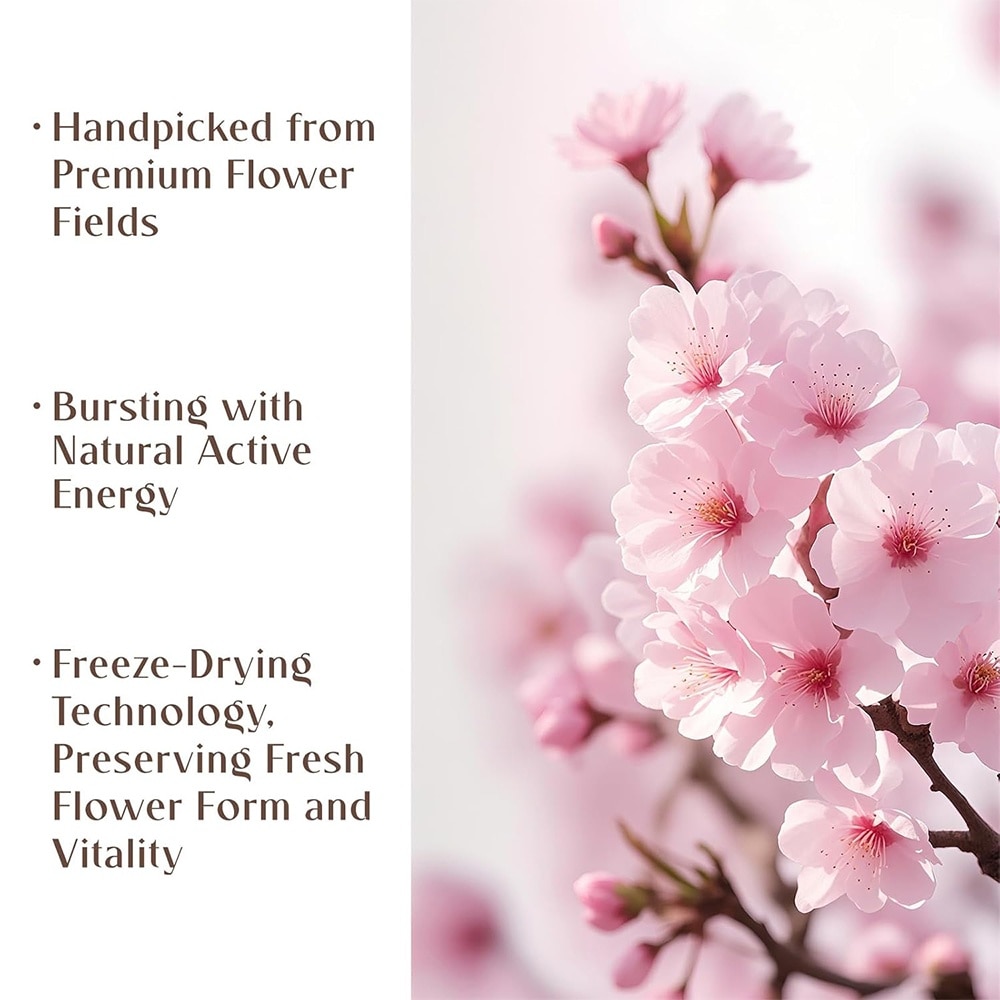 Double Compartment Cherry Blossom Shampoo 250ml + 250ml
