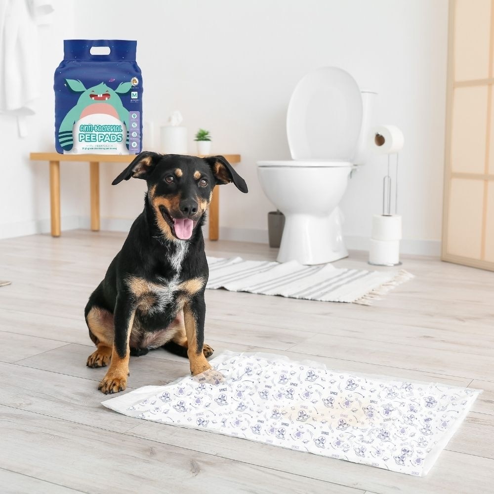 Pet Anti-Bacterial Pee Pads 65cm x 45cm x 40s
