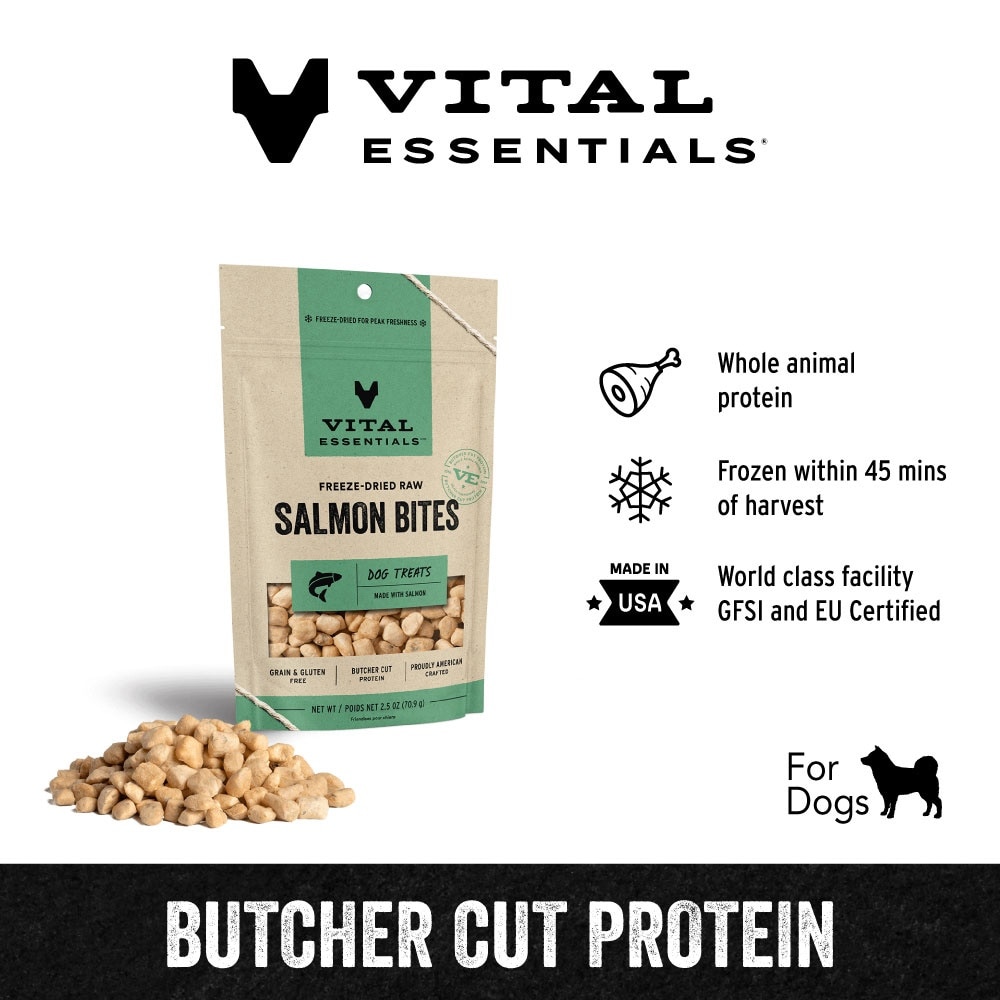 Freeze-Dried Salmon Bites Dog Treats 2oz