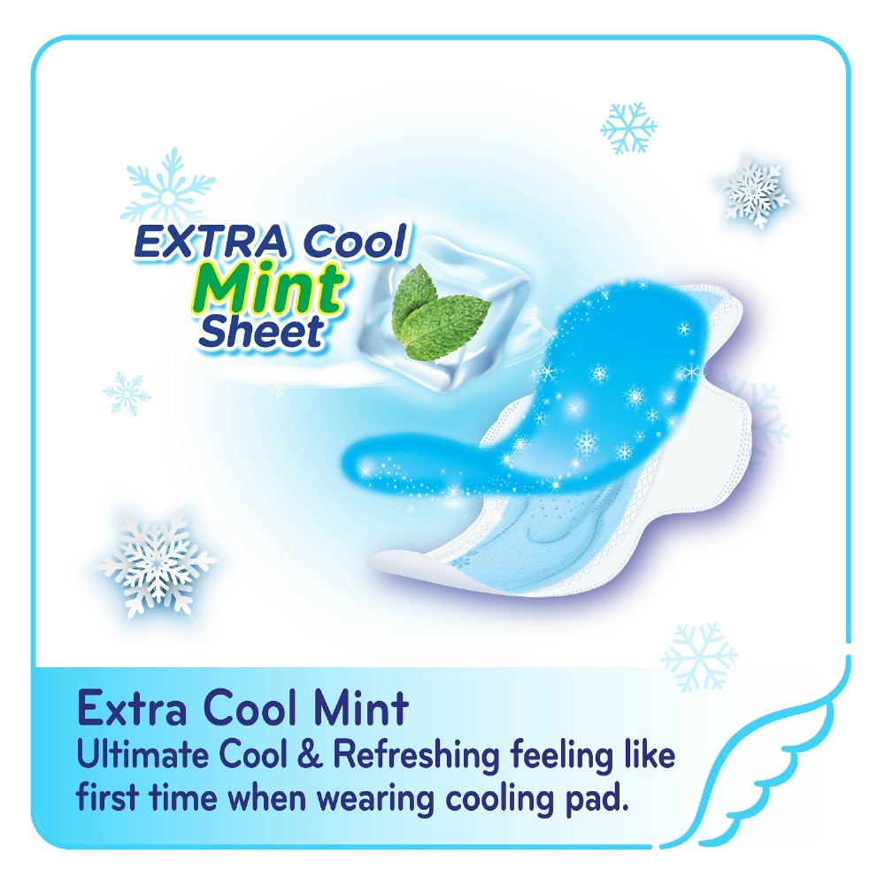 Extra Cool Day Ultra Slim Wing 25cm 12s
