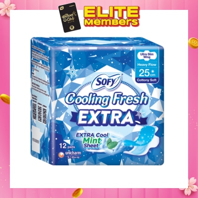 SOFY Extra Cool Day Ultra Slim Wing 25cm 12s