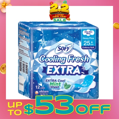 SOFY Extra Cool Day Ultra Slim Wing 25cm 12s