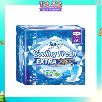 SOFY Extra Cool Night Slim Wing 29cm 12s