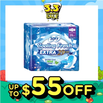 SOFY Extra Cool Night Slim Wing 29cm 12s