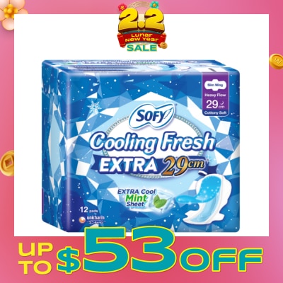 SOFY Extra Cool Night Slim Wing 29cm 12s