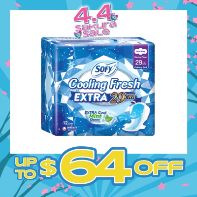 SOFY - Extra Cool Night Slim Wing 29cm 12s